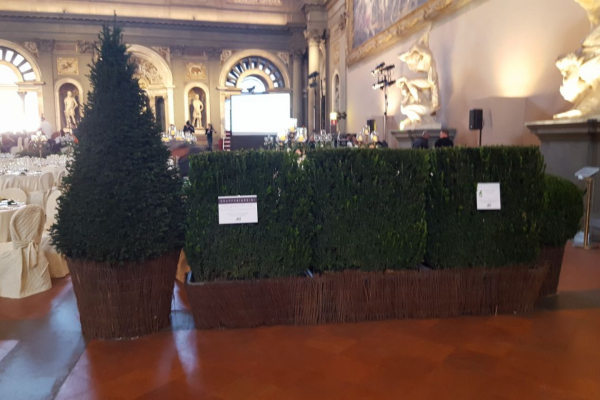 Gran Galà Fondazione ANT Firenze - Ottobre 2017 - Salone dei Cinquecento - Palazzo Vecchio - Firenze